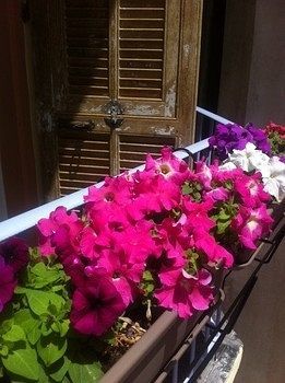 Hostel Altea Nice Bagian luar foto